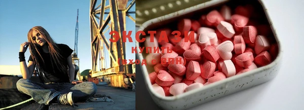 шишки Дмитриев
