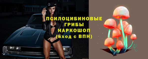 мяу мяу кристалл Дмитров