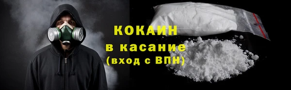 шишки Дмитриев