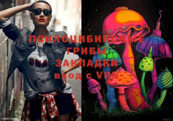 шишки Дмитриев