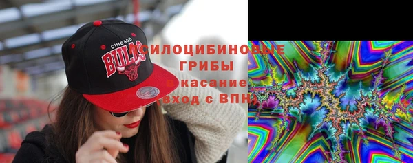 шишки Дмитриев